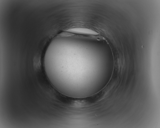 X0000089450508200706291445