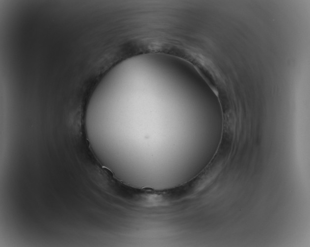 X0000089450509200706291445