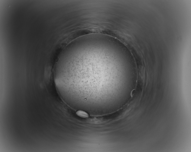 X0000089450511200706291445