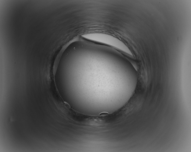X0000089450512200706291445