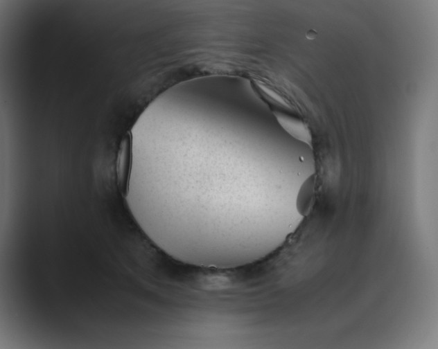 X0000089450513200706291445