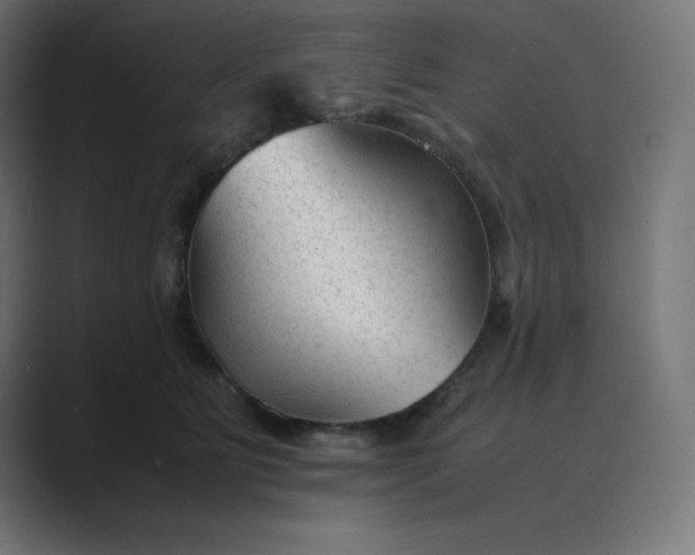 X0000089450515200706291445