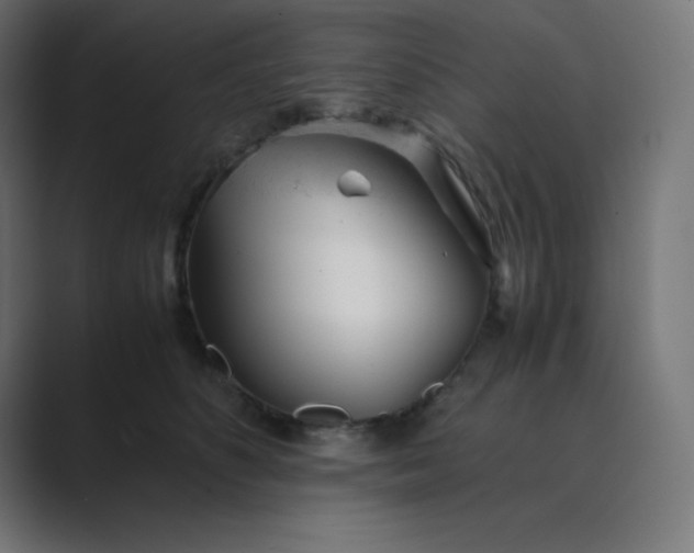 X0000089450516200706291445