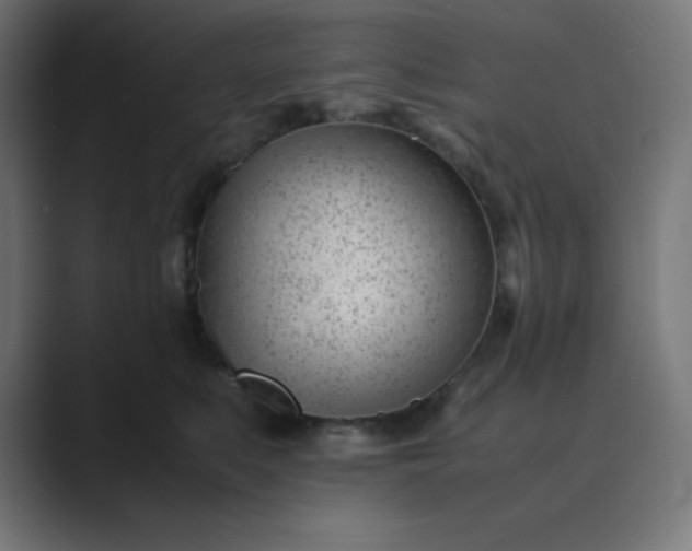 X0000089450519200706291445