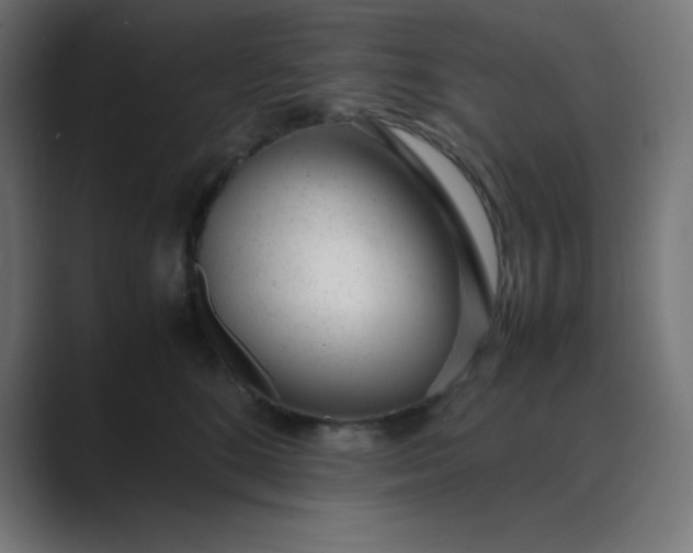 X0000089450520200706291445