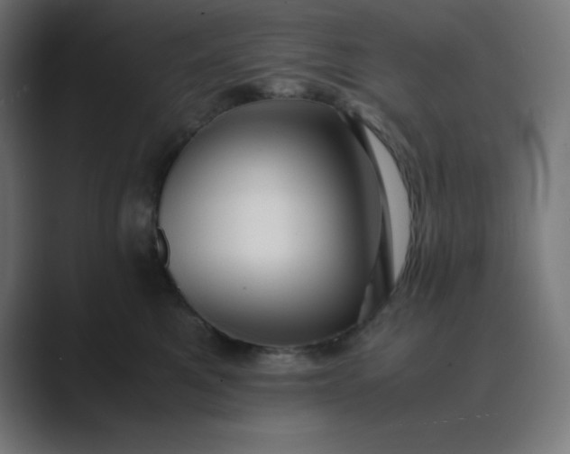 X0000089450521200706291445