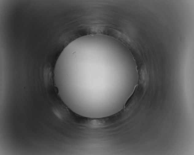 X0000089450522200706291445