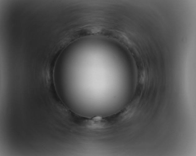 X0000089450524200706291445