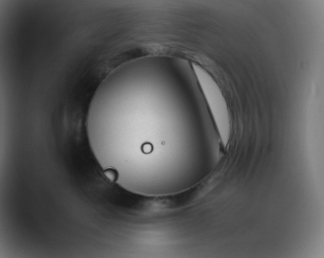 X0000089450525200706291445