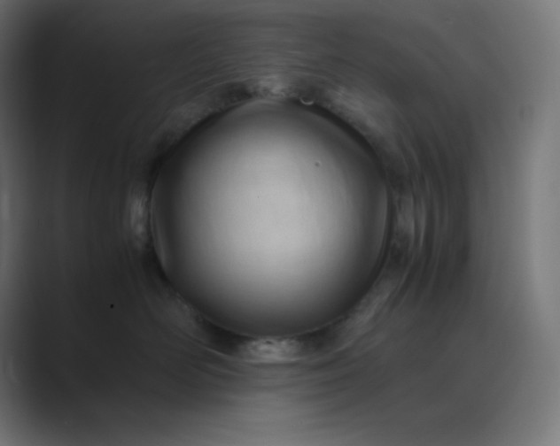X0000089450526200706291445