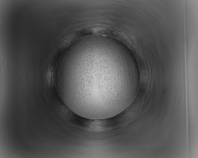 X0000089450527200706291445