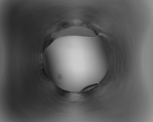 X0000089450528200706291445