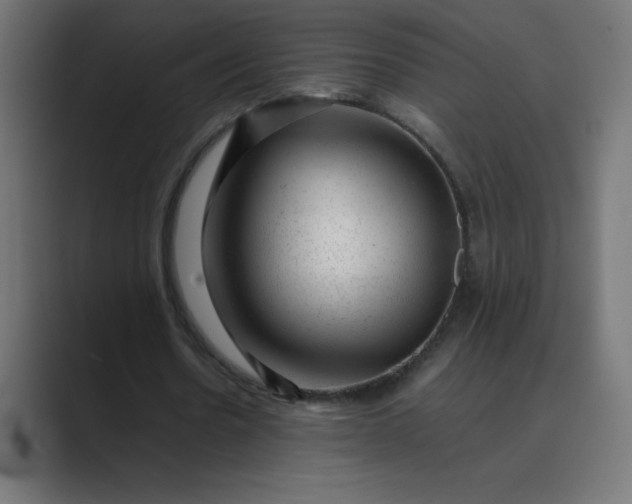 X0000089450530200706291445