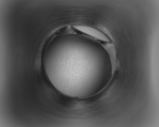 X0000089450531200706291445