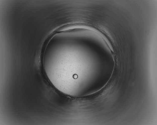 X0000089450532200706291445