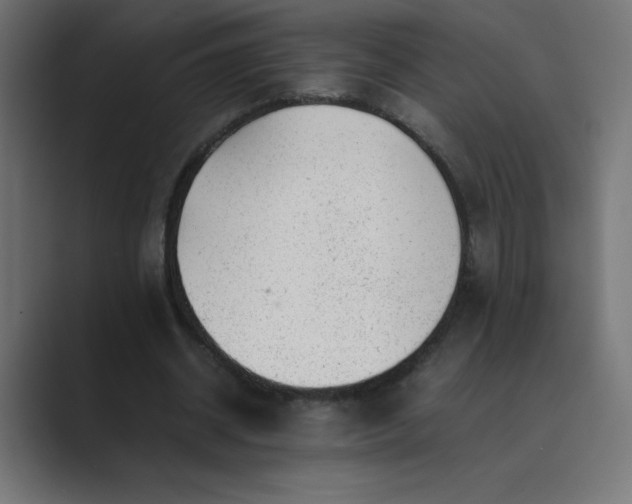 X0000089450534200706291445