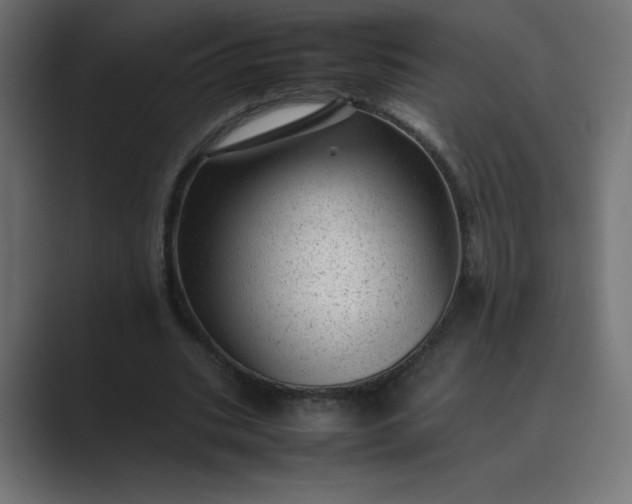 X0000089450535200706291445