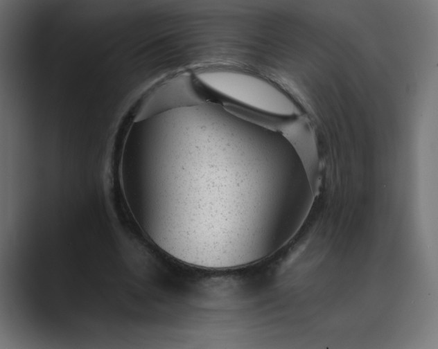 X0000089450536200706291445