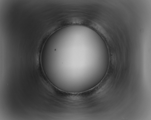 X0000089450537200706291445