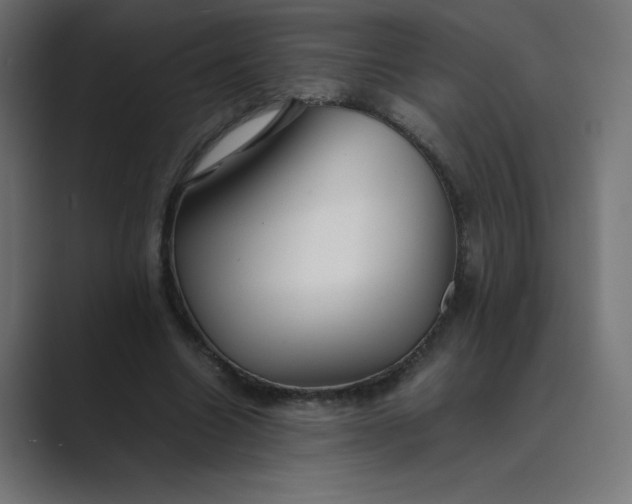 X0000089450538200706291445