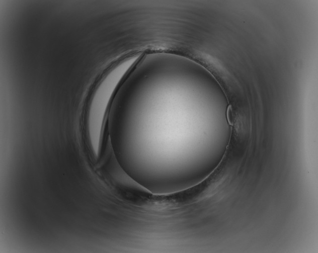 X0000089450540200706291445
