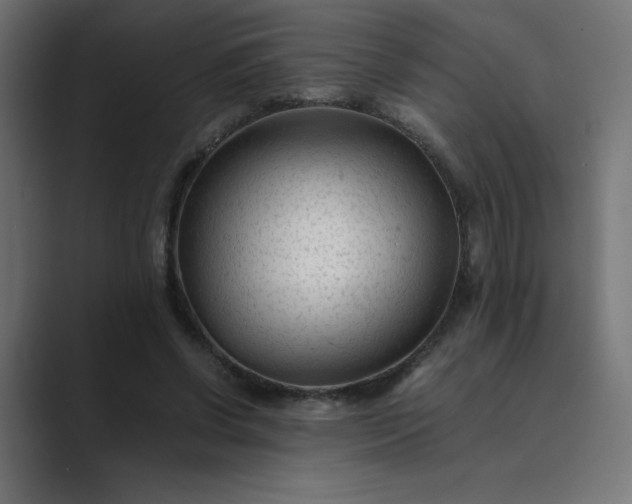 X0000089450542200706291445