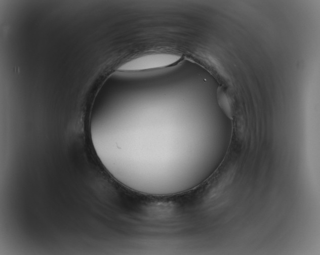 X0000089450543200706291445