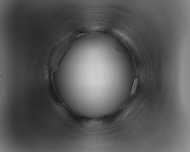 X0000089450546200706291445