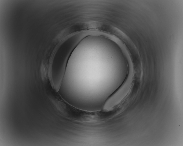 X0000089450552200706291445