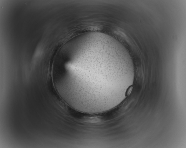 X0000089450553200706291445