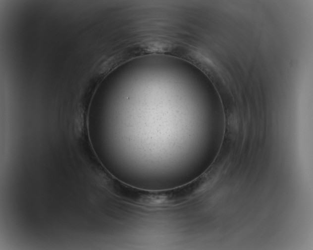 X0000089450554200706291445