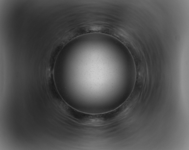 X0000089450555200706291445
