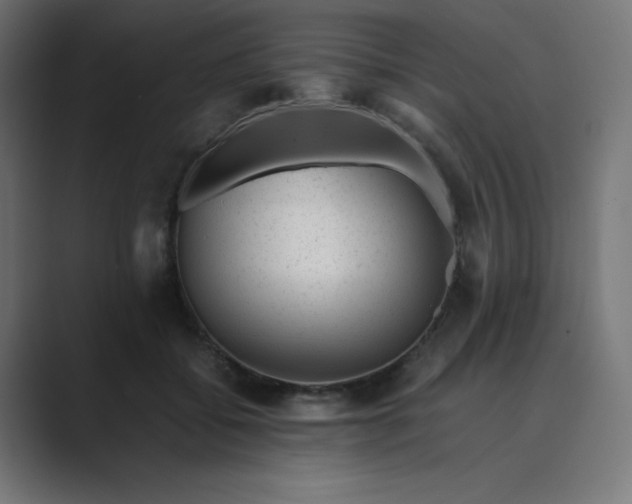 X0000089450556200706291445
