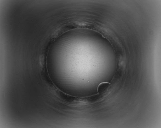 X0000089450559200706291445