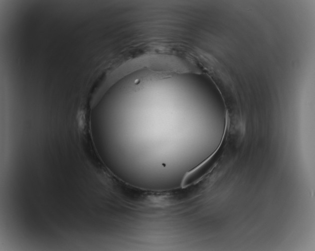 X0000089450560200706291445