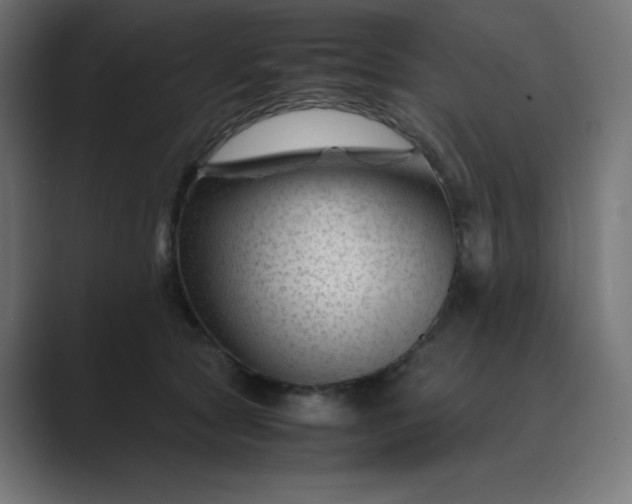 X0000089450561200706291445