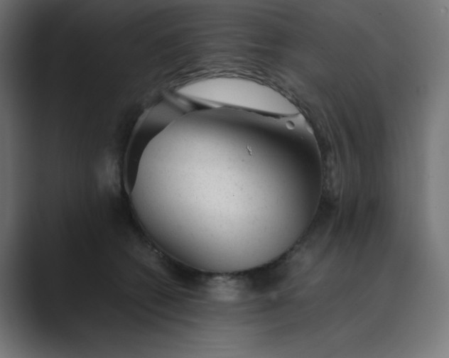 X0000089450562200706291445