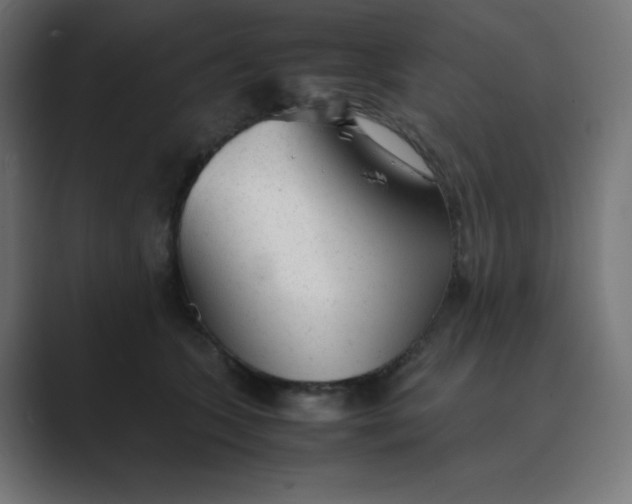 X0000089450563200706291445