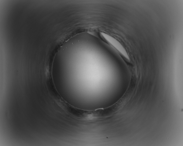 X0000089450564200706291445