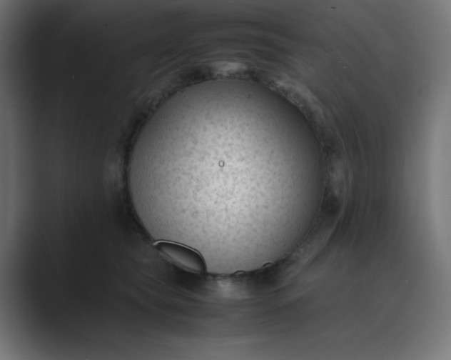 X0000089450565200706291445