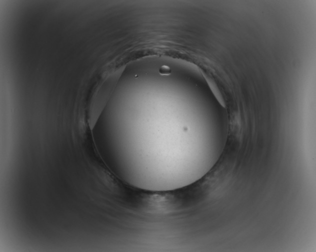 X0000089450566200706291445