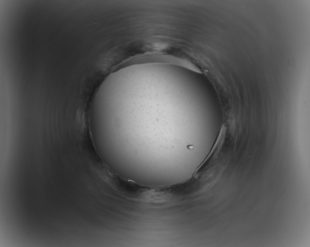 X0000089450568200706291445