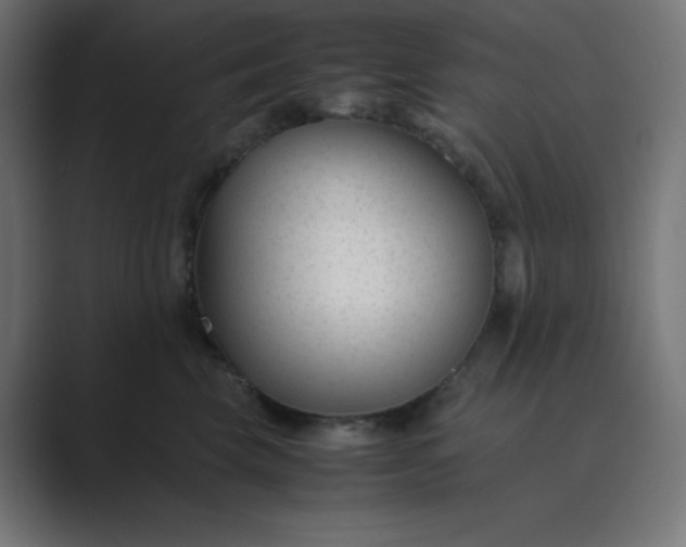 X0000089450569200706291445