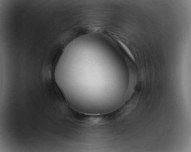 X0000089450570200706291445