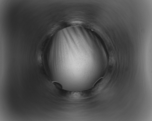 X0000089450573200706291445