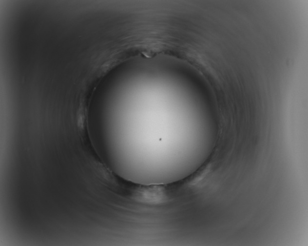 X0000089450576200706291445
