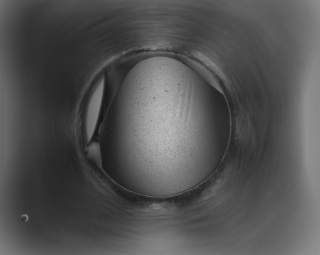 X0000089450584200706291445