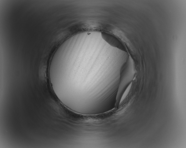 X0000089450585200706291445