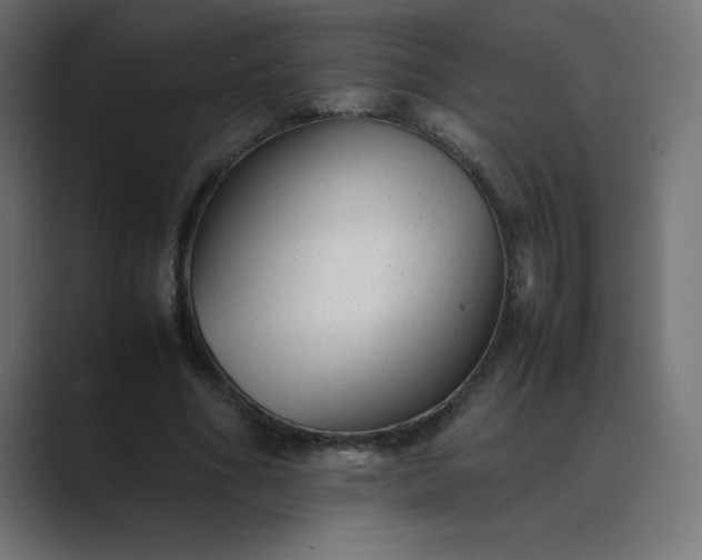 X0000089450586200706291445