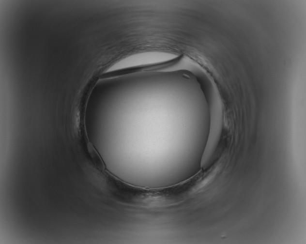 X0000089450589200706291444